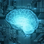 Find the Right Patent Lawyer for Your Business Needs with Schell IP in Denver & Boulder